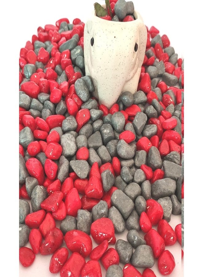 Power Stone Decorative Coloured Painted Asymmetric Marble Stone Pebbles for Vase Filler Plant Pots Aquarium Home Garden Outdoor Decoration (Red & Grey, 500 Grams) - Image 5